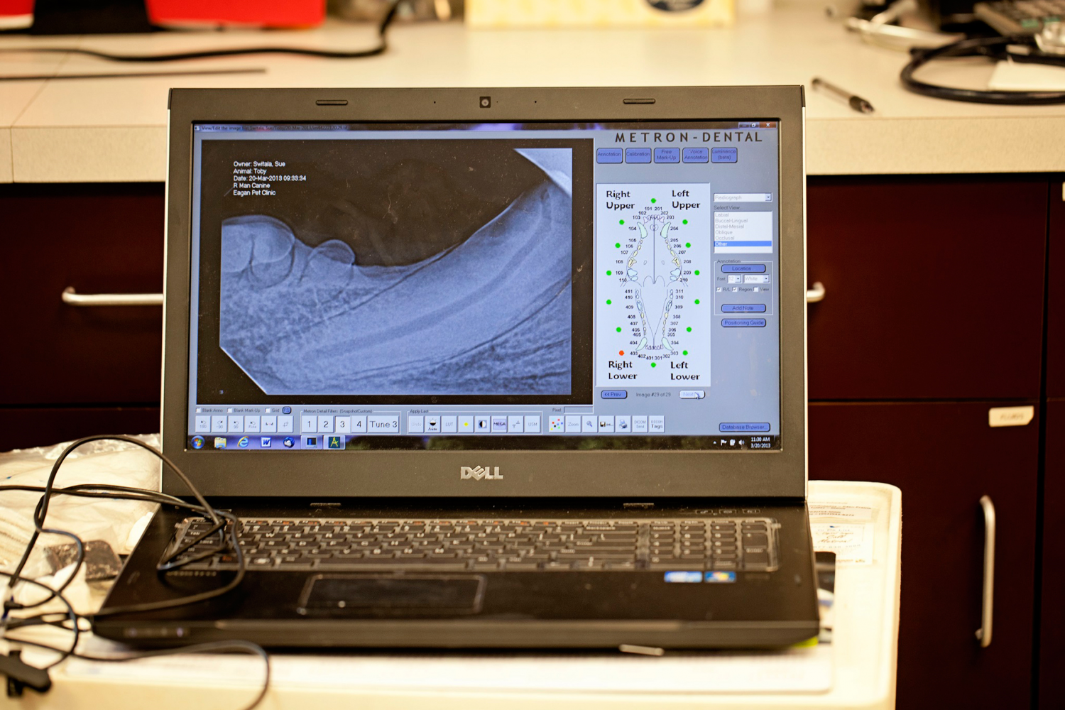 Digital Dental Radiology