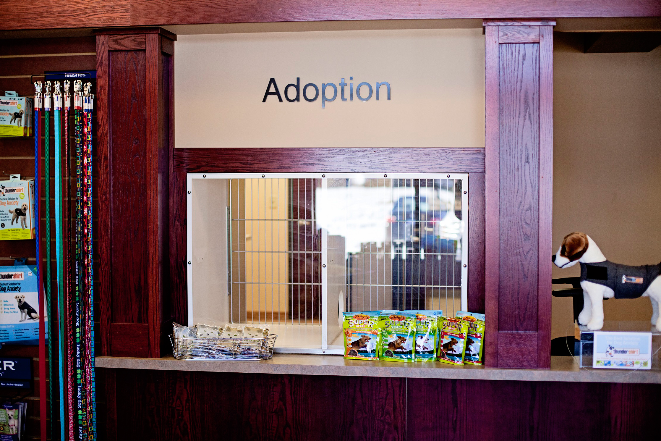 Adoption