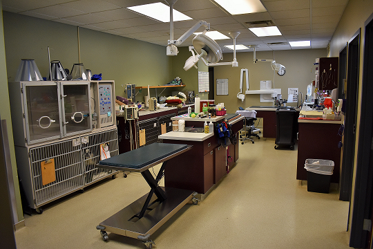 Eagan Pet Clinic - MN Veterinary Services - Hospital Tour